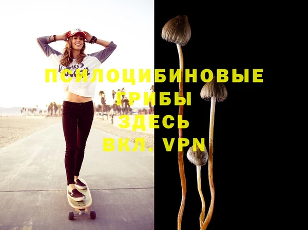 PSILOCYBIN Алзамай