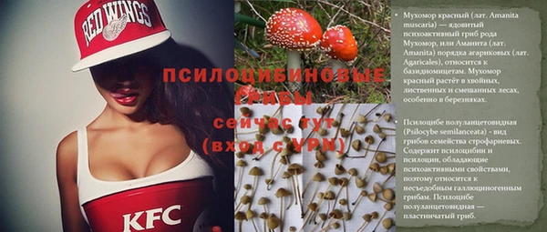 Альфа ПВП Алексеевка