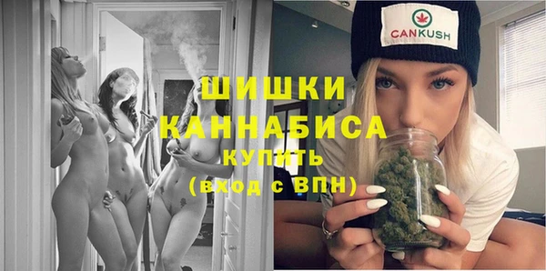 PSILOCYBIN Алзамай
