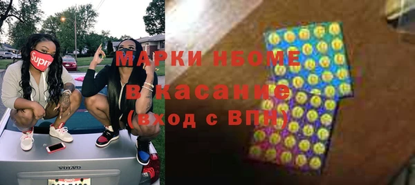 PSILOCYBIN Алзамай