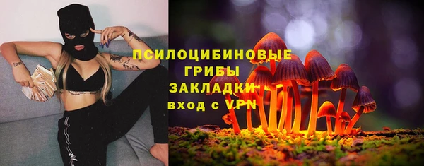PSILOCYBIN Алзамай